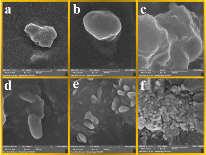 Thermomechanical analyses and ANN modeling of novel epoxy adhesives with CSR particles and zinc oxide nanoparticles in structural bonding.