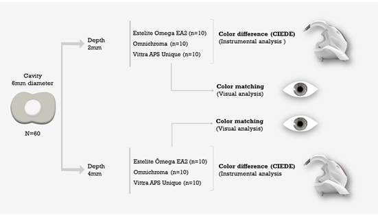 Influence of depth and translucency on the color matching of single-shade resin composites: An in vitro study.
