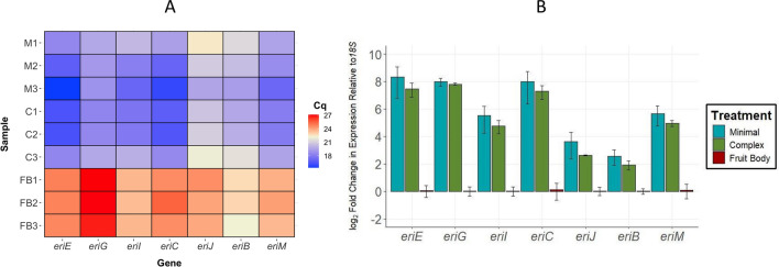 Influences of substrate and tissue type on erinacine production and biosynthetic gene expression in Hericium erinaceus.