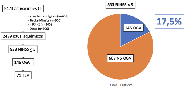 [Multicenter Study on the Frequency of Large Vessel Occlusion in Patients with Minor Stroke].