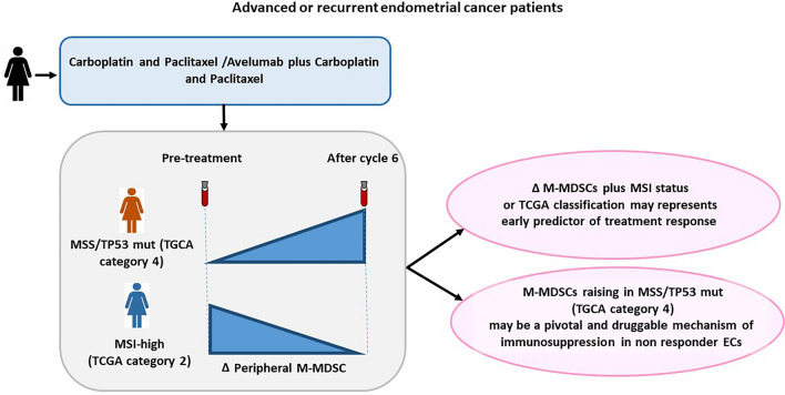 Association of peripheral monocytic myeloid-derived suppressor cells with molecular subtypes in single-center endometrial cancer patients receiving carboplatin + paclitaxel/avelumab (MITO-END3 trial).