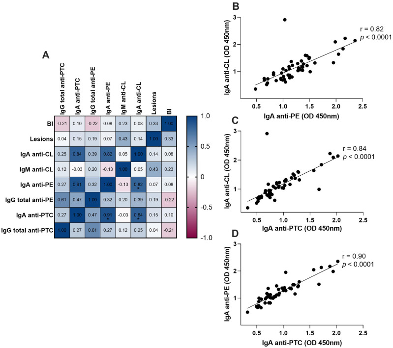 Serum anti-lipid antibodies in patients affected by leprosy in a high-burden municipality in Brazil: a cross-sectional study.