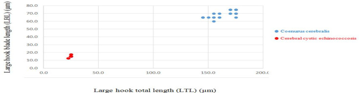 Differentiation of Cerebral Cystic Echinococcosis (CCE) from Coenurosis Using Morphometric and Molecular Methods.