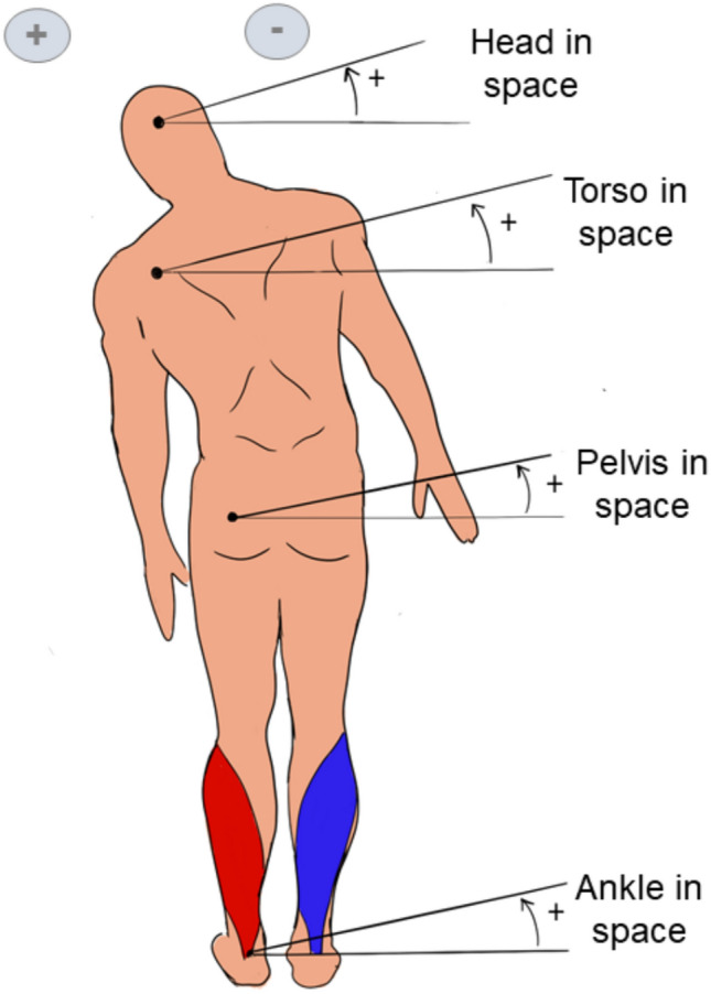 A wide-ranging review of galvanic vestibular stimulation: from its genesis to basic science and clinical applications.