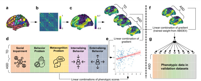 Revealing the Multivariate Associations Between Autistic Traits and Principal Functional Connectome.