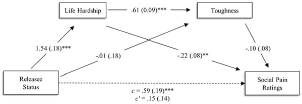 Biased Beliefs About White Releasees' Sensitivity to Social Pain.