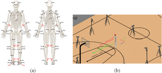 Arm Joint Coordination of Collegiate Basketball Athletes and Recreational Players when Shooting behind the 3-Point Line.
