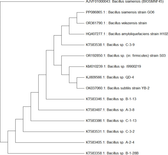 Improved production of thermostable pectinase from novel Bacillus siamensis (BIOSMNF45) using computational-conventional approach.