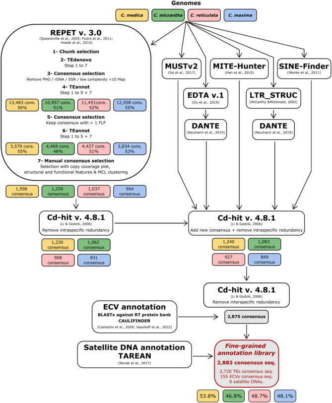 Construction of a comprehensive library of repeated sequences for the annotation of Citrus genomes.