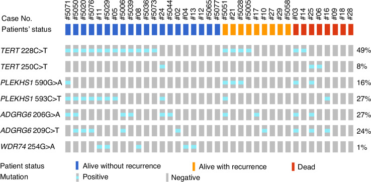 Monitoring circulating tumor DNA by recurrent hotspot mutations in bladder cancer.