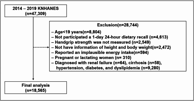 Relationship between dietary protein and amino acid intake and handgrip strength in Korean adults: data from the 2014-2019 Korea National Health and Nutrition Examination Survey.