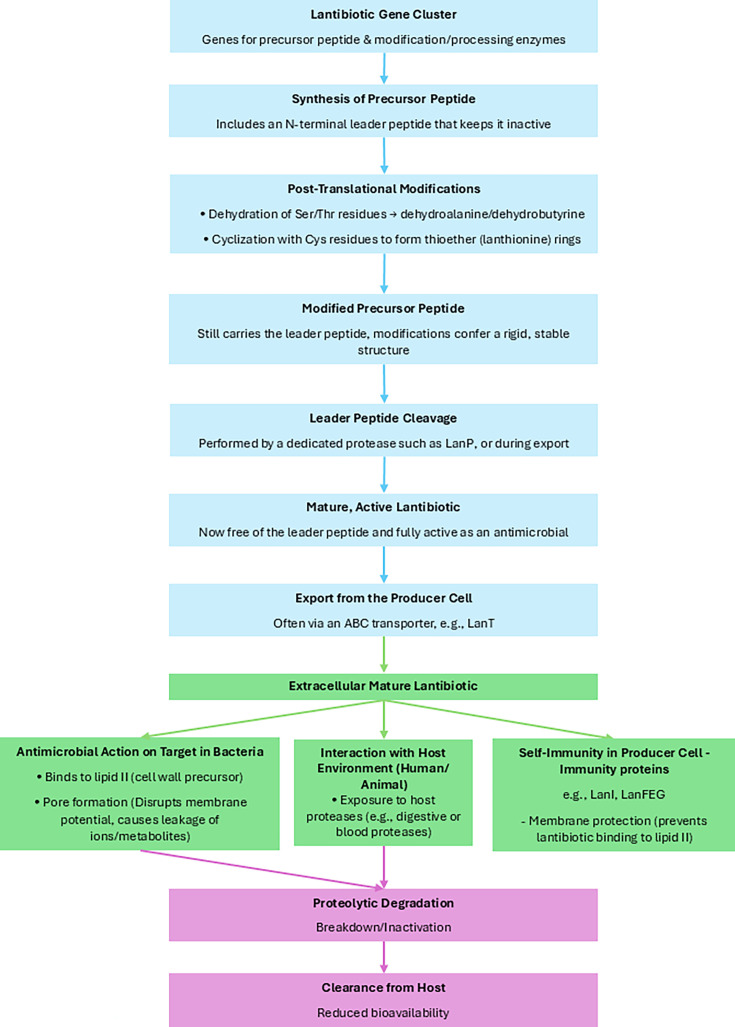 Toward safer and sustainable food preservation: a comprehensive review of bacteriocins in the food industry.