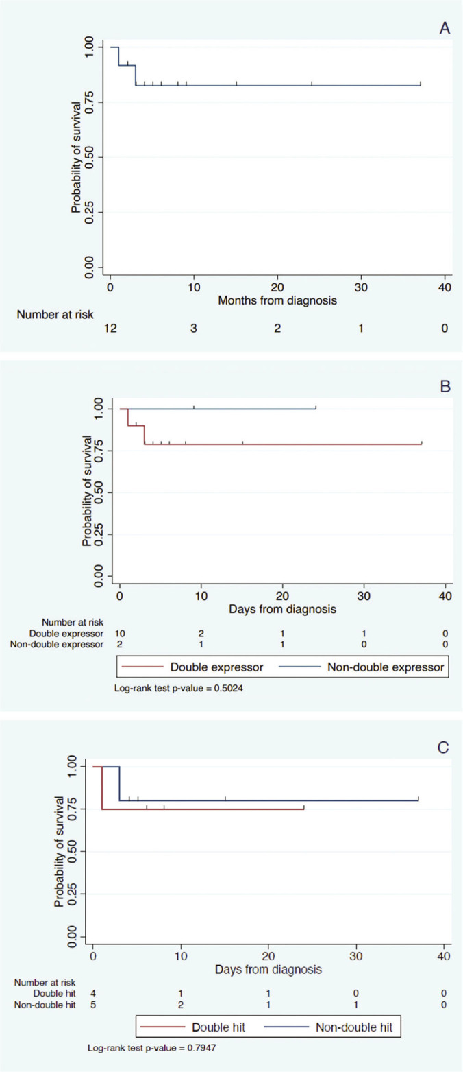Clinico-pathologic Profile of Filipino Patients Diagnosed with Diffuse Large B-Cell Lymphoma, Germinal Center or Non-germinal Center Subtype Treated in a Public Tertiary Hospital from 2016 to 2021.
