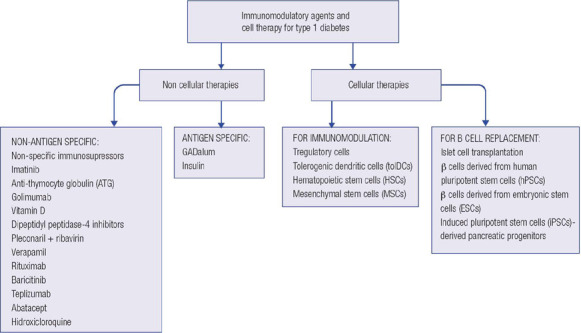 Immunomodulatory agents and cell therapy for patients with type 1 diabetes.