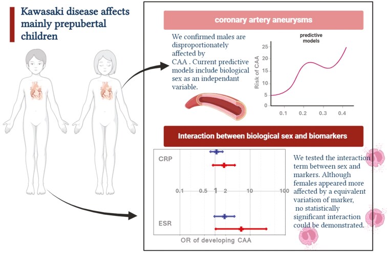 Males with Kawasaki disease develop coronary artery aneurysms more than twice as much as females.