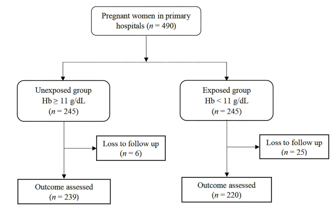 Understanding Anemia and Predictors of Adverse Maternal and Neonatal Outcomes: A Multicenter Prospective Cohort Study in Southern Ethiopia.