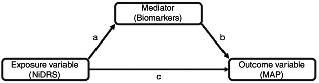 Evaluating modifiable hypertension risk in Nigerian adults-The Nigerian diet risk score.