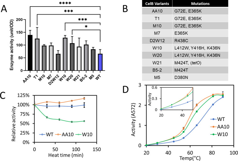 Abstract Image