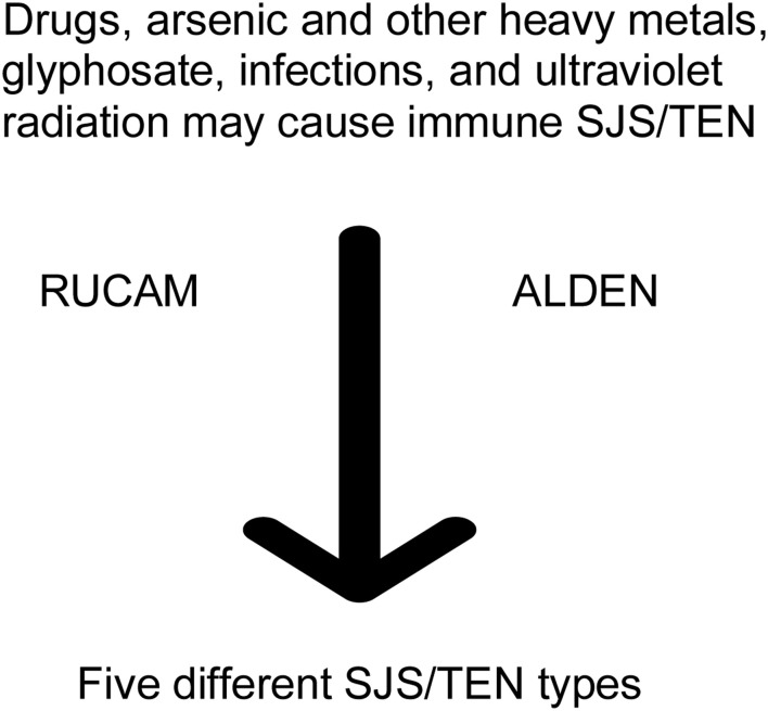 Liver Injury in Immune Stevens-Johnson Syndrome and Toxic Epidermal Necrolysis: Five New Classification Types.