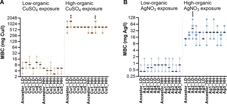 Experimental evolution of <i>Escherichia coli</i> on semi-dry silver, copper, stainless steel, and glass surfaces.