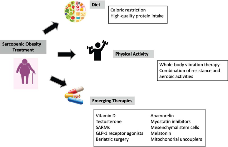 Sarcopenic obesity: a review.