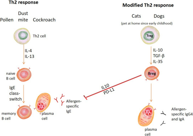 Inhalant Mediated Allergy: Immunobiology, Clinical Manifestations and Diagnosis.