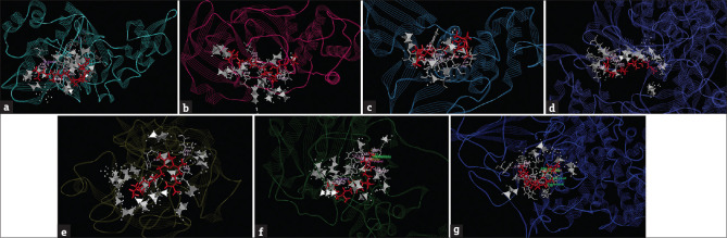 Multitarget-based <i>in silico</i> screening from phytoactive compounds of <i>Garcinia linii</i> fighting toward severe acute respiratory syndrome coronavirus-2.