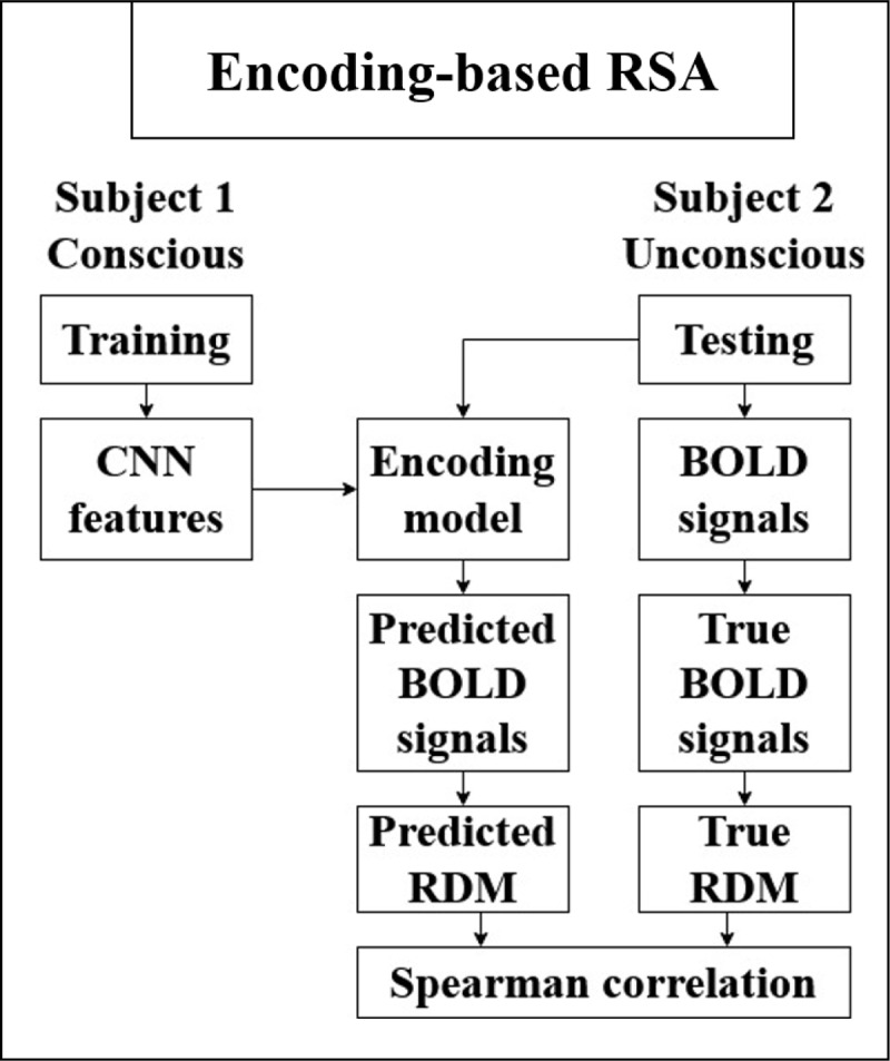 Brain Representation in Conscious and Unconscious Vision.