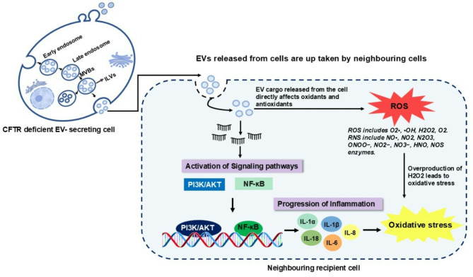 Decoding the role of extracellular vesicles in pathogenesis of cystic fibrosis.