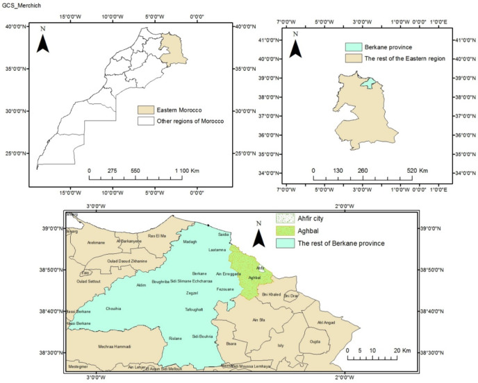 Nutritional value antioxidant strength and antimicrobial efficacy of fig pastes from eastern morocco.