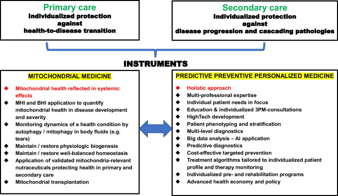 Mitochondrial medicine: "from bench to bedside" 3PM-guided concept.