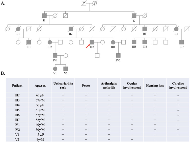 From Urticaria to Correct Diagnosis: A Case Report of Cryopyrin-Associated Periodic Syndromes.