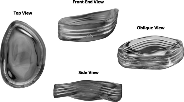 Report on Evolving Indications, Technique, and Outcomes of Novel And Surgical Procedures-NUsurface.