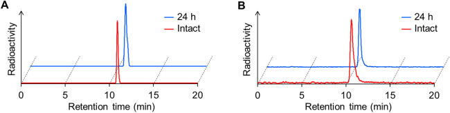 Comparison of carbonic anhydrase-IX-targeted trifunctional radioligands between linear- and branched-chain arrangements.