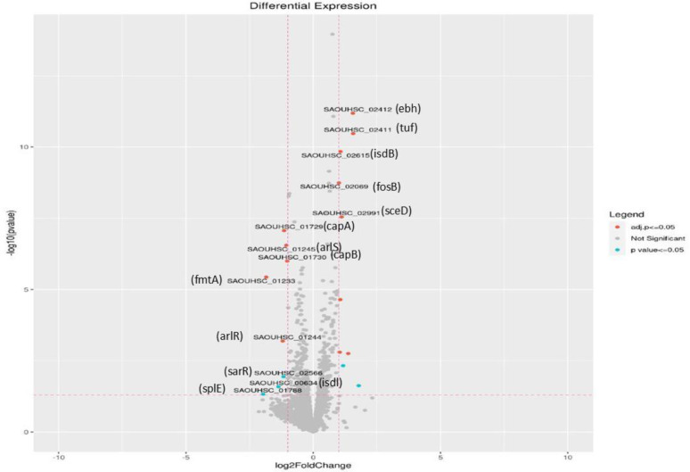 Insights into global transcriptomic profile of biofilm producing <i>Staphylococcus aureus</i> clinical isolates from chronic foot ulcers.