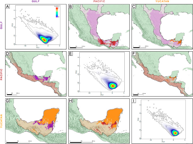 Understanding the role of ecological divergence in the evolution of isolated populations in the Arremonops rufivirgatus species complex across Mesoamerica.