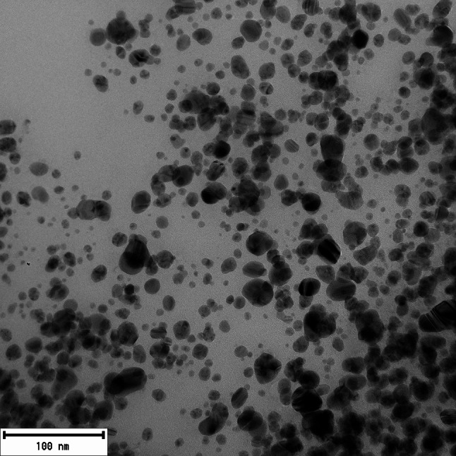 Antibacterial properties of silver and gold nanoparticles synthesized using Cannabis sativa waste extract against Pseudomonas aeruginosa.