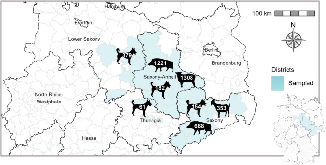Tracking WNV transmission with a combined dog and wild boar surveillance system.