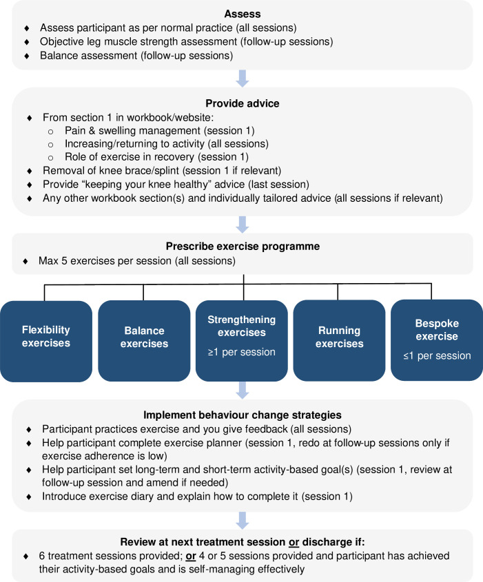 Development of the rehabilitation interventions for people with an acute patellar dislocation in the Physiotherapy Rehabilitation Post Patellar Dislocation (PRePPeD) pilot randomized controlled trial.