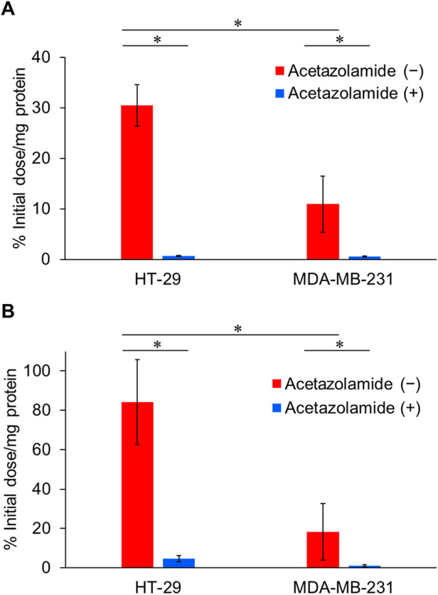 Comparison of carbonic anhydrase-IX-targeted trifunctional radioligands between linear- and branched-chain arrangements.