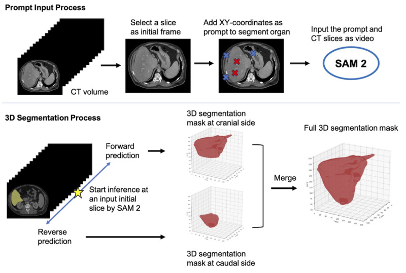 Using Segment Anything Model 2 for Zero-Shot 3D Segmentation of Abdominal Organs in Computed Tomography Scans to Adapt Video Tracking Capabilities for 3D Medical Imaging: Algorithm Development and Validation.