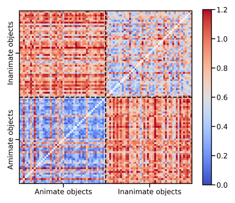 Brain Representation in Conscious and Unconscious Vision.