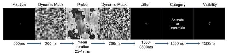 Brain Representation in Conscious and Unconscious Vision.