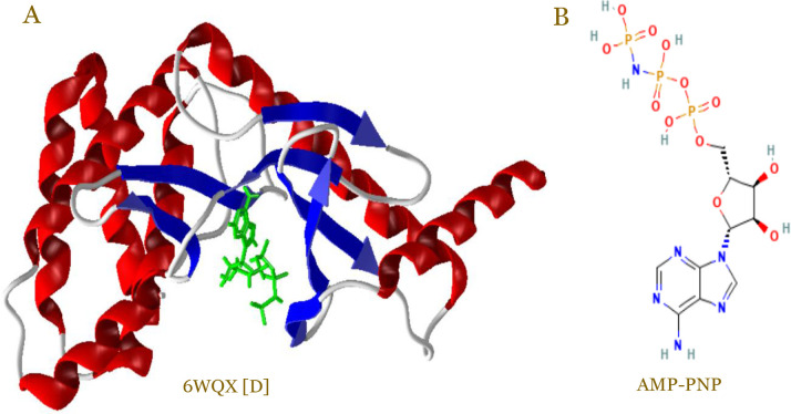 Ethanol extract from <i>Ziziphus nummularia</i> stem inhibits MCF-7 breast cancer cell proliferation through TP53 regulating kinase (TP53RK)-mediated p53 activation: In silico and genes expression investigations.
