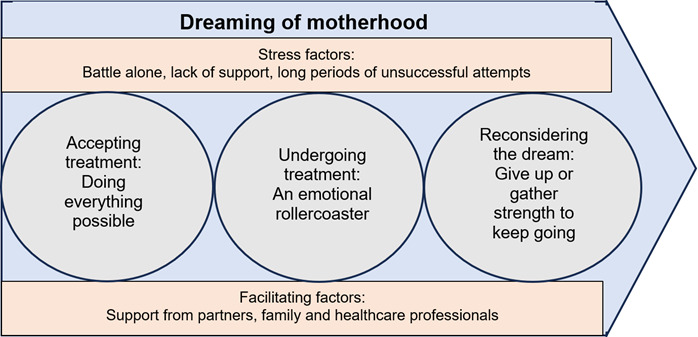 Dreaming of motherhood: experiences of women who have undergone fertility treatment.
