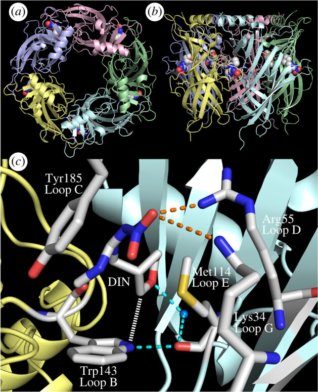 Correction to: 'Unravelling nicotinic receptor and ligand features underlying neonicotinoid knockdown actions on the malaria vector mosquito <i>Anopheles gambiae</i>' (2024), by Ito <i>et al.</i>