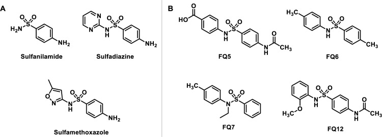 Synthesis, structural studies, and inhibitory potential of selected sulfonamide analogues: insights from in silico and in vitro analyses.