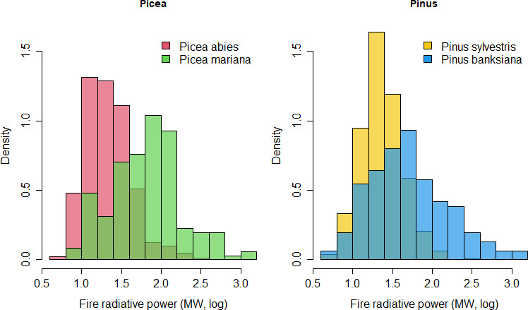 Are fire regimes the result of top-down or bottom-up drivers?