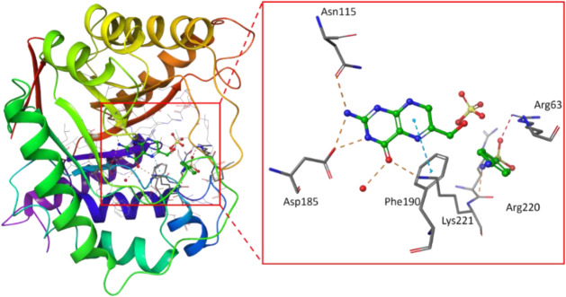 Synthesis, structural studies, and inhibitory potential of selected sulfonamide analogues: insights from in silico and in vitro analyses.