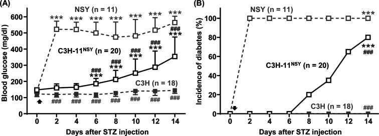 DNA repair protein RAD50 is involved in the streptozotocin-induced diabetes susceptibility of mice.